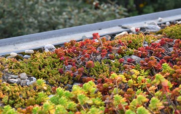 the cost of Dommett green roof installation