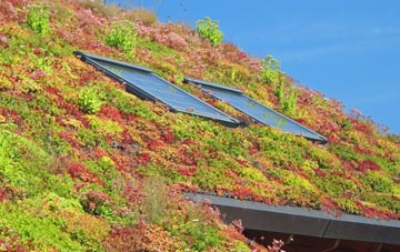 Dommett living roof systems