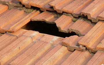 roof repair Dommett, Somerset